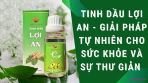 tinh dầu lợi an