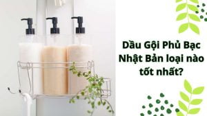 Dầu Gội Phủ Bạc Nhật Bản loại nào tốt nhất