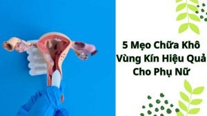 5 Mẹo Chữa Khô Vùng Kín Hiệu Quả Cho Phụ Nữ