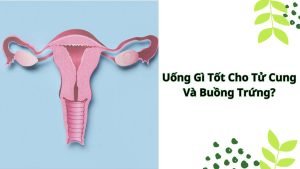 Uống gì tốt cho tử cung và buồng trứng?
